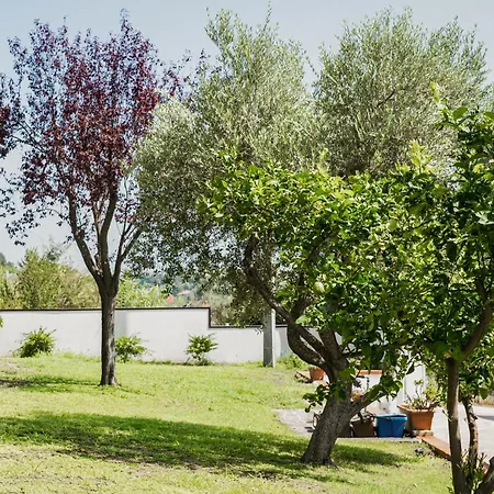 Il Segreto Dei Viaggiatori - Kiev *