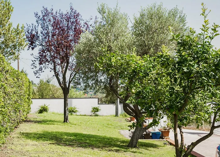 Il Segreto Dei Viaggiatori - Kiev *