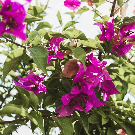 Il Segreto Dei Viaggiatori - Kiev Apartament Ortona