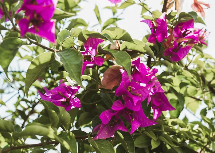 Il Segreto Dei Viaggiatori - Kiev Apartament Ortona