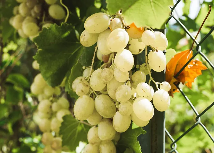 Il Segreto Dei Viaggiatori - Kiev *